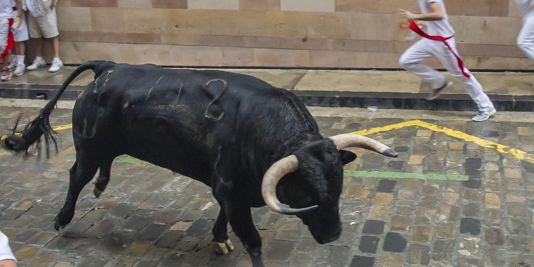 San Fermin toros en las calles de Pamplona