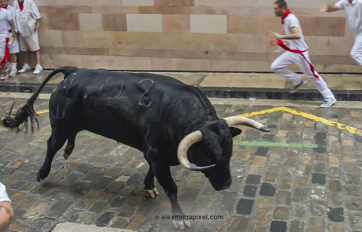 San Fermin Toros en la Estafeta