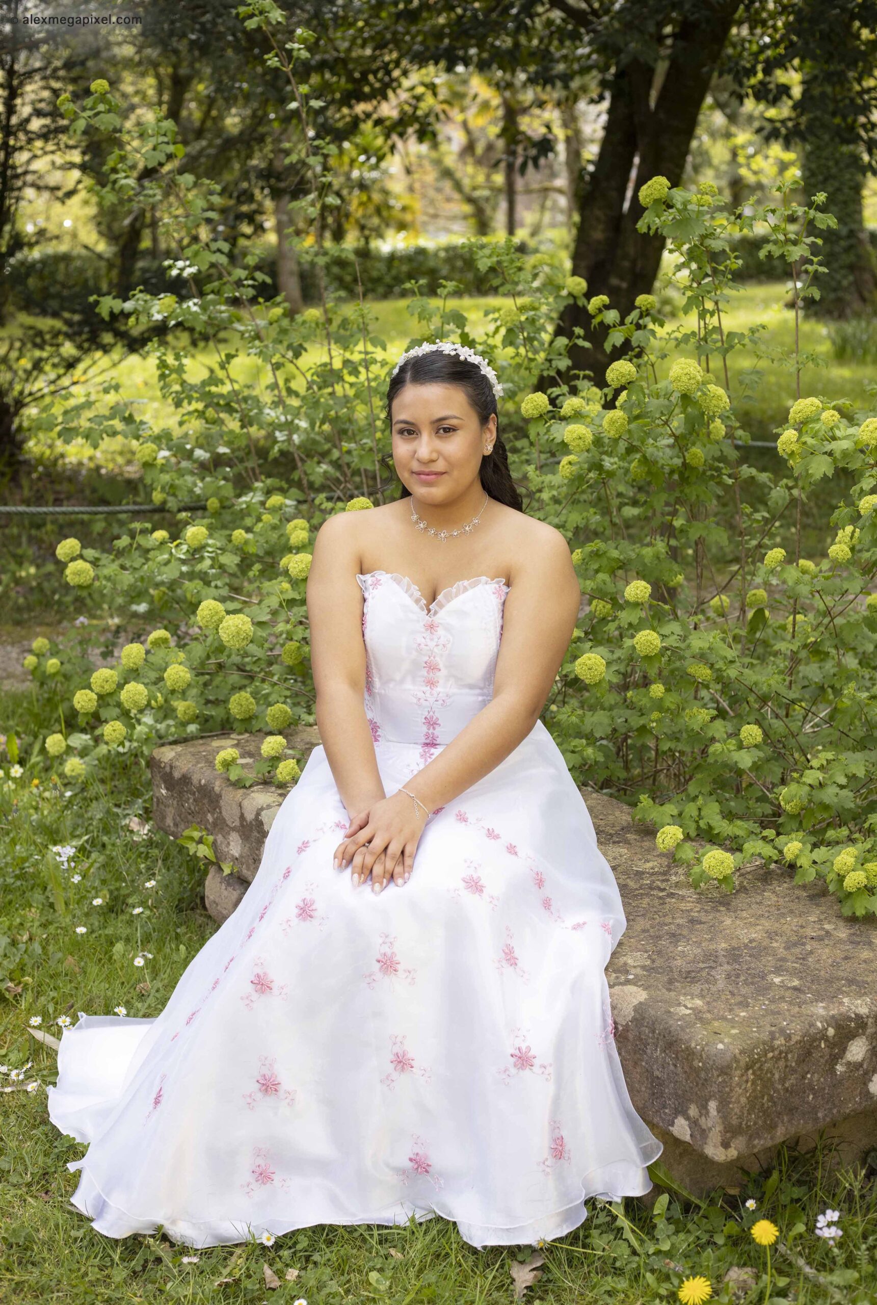Fotos de Quinceañera en Pamplona